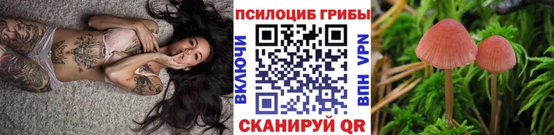 Псилоцибиновые грибы прущие грибы  Пионерский 
